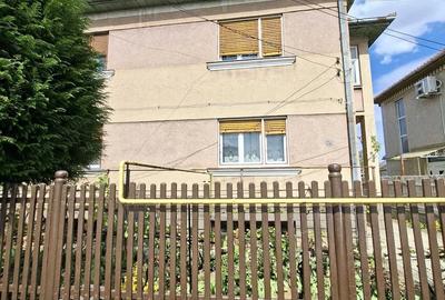 Casă cu 3 camere în Botizului