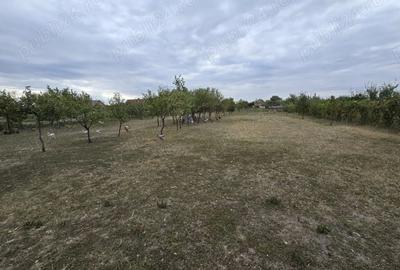 Casă cu Teren 2500 Mp în Turnu