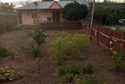 Casă cu 4 camere cu Teren 1000 Mp în Central