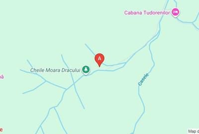 Teren extravilan de 50000 mp, în Central - 1