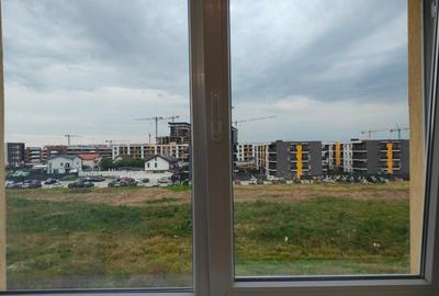 Apartament cu 3 camere decomandat, mobilat în Theodor Pallady - 13