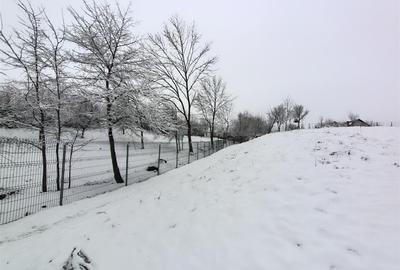Teren Construcții intravilan de 2000 mp, în Mitocu Dragomirnei - 2