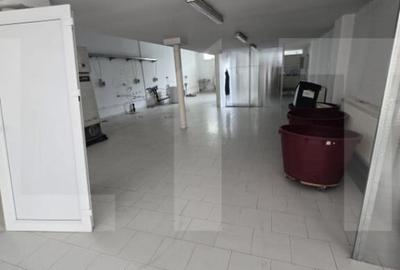 Spațiu comercial, de 450 mp, în Central - 3