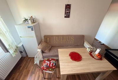 Apartament cu 2 camere decomandat, mobilat în Lipovei - 11