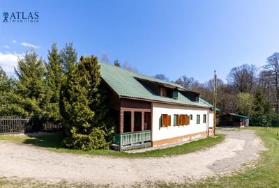 Casă individuală cu 5 camere cu Teren 2600 Mp în Brăduț - 2