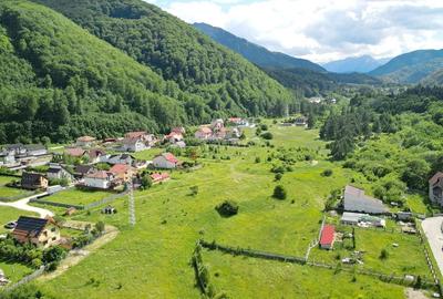 Teren Construcții intravilan de 1025 mp, în Bunloc - 12