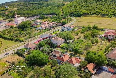 Casă individuală cu 5 camere cu Canalizare în Șiria - 22
