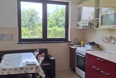 Casă individuală cu 5 camere cu Canalizare în Dridu - 16