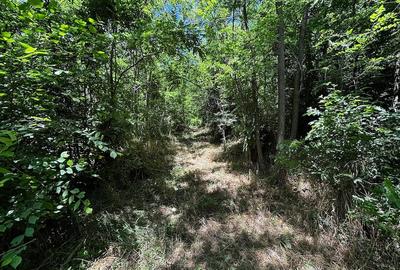 Teren de 6857 mp, în Bujoreni - 7