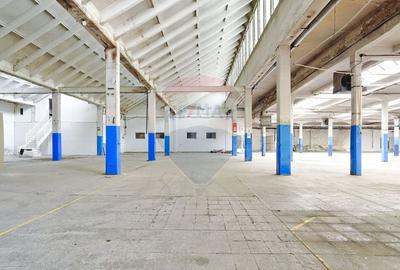 Spațiu industrial, de 2,000 mp, în Prejmer - 11