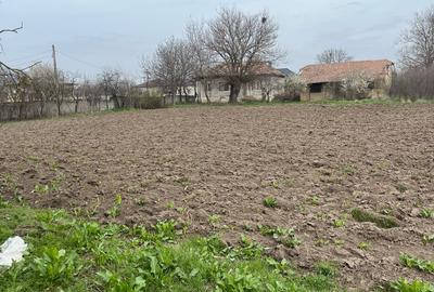 Teren de 2617 mp, în Brastavățu - 4