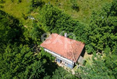 Casă individuală cu 3 camere cu Teren 3288 Mp în Bucea - 8