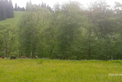 Teren de 500 mp, în Central - 2