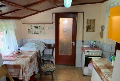 Casă cu 2 camere în Ulieș