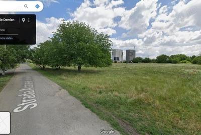 Teren de 5750 mp, în Torontalului