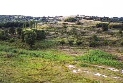 Teren agricol extravilan de 63000 mp, în Beceni - 3