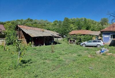 Casă cu Teren 1500 Mp în Grecești - 3