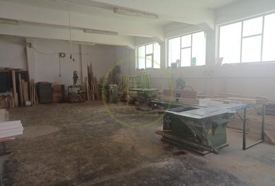 Spațiu industrial, de 1,200 mp, în Exterior Vest - 14