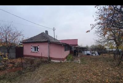 Casă cu 2 camere cu Teren 460 Mp în Nojorid - 2