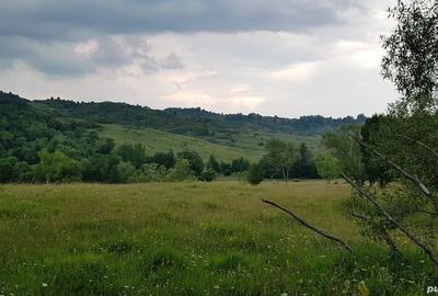 Teren de 3013 mp, în Valea - 8