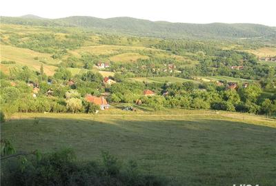 Teren de 18000 mp, în Bârsău - 1