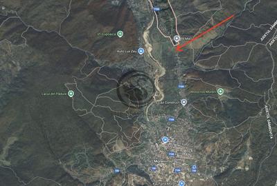 Teren Construcții intravilan de 26908 mp, în Iedera de Jos - 5