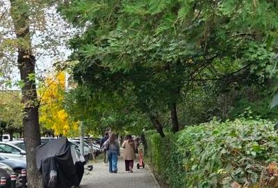 Garsonieră, mobilată în P-ța Muncii