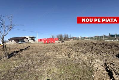 Teren de 533 mp, în Albota