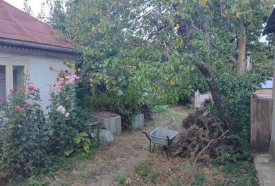 Casă cu Teren 1000 Mp în Jariștea