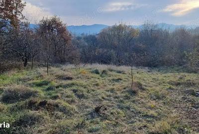 Teren de 996 mp, în Central - 3