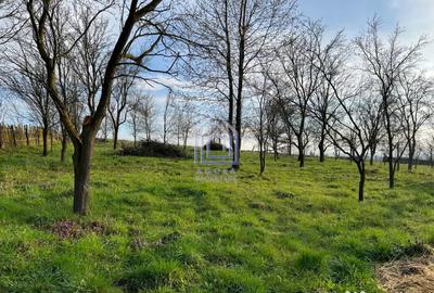Teren de 4872 mp, în Antoceni