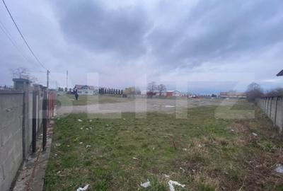 Teren de 8000 mp, în Cornu Luncii - 2