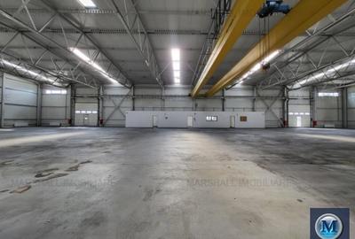 Spațiu industrial, de 4,600 mp, în Central - 6