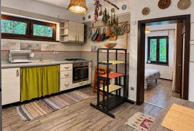 Apartament cu 2 camere, mobilat în Central - 13