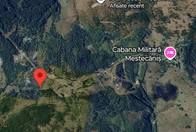 Teren de 2000 mp, în Pojorâta - 6