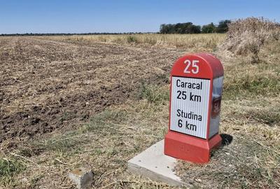 Teren de 150000 mp, în Brastavățu