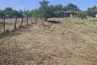 Casă cu Teren 2300 Mp în Răsmirești