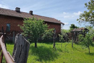 Casă cu Teren 5000 Mp în Central - 8