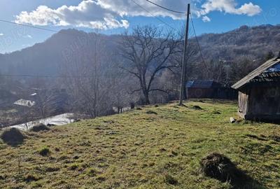 Teren de 1800 mp, în Bradu - 2