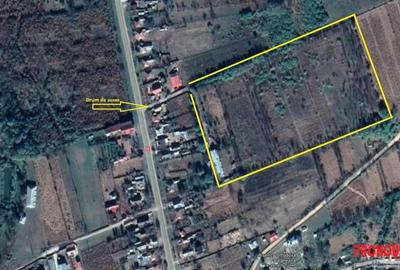 Casă cu 5 camere cu Teren 38810 Mp în Central - 3