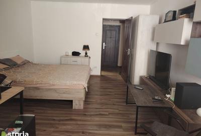 Garsonieră în Brazda lui Novac - 2
