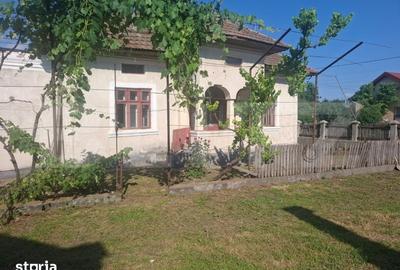 Casă cu 2 camere cu Teren 5000 Mp în Dragomirești - 6