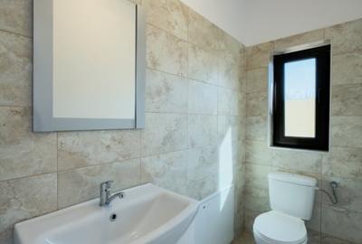 Casă individuală cu 3 camere cu Canalizare în Sânmihaiu Român - 12