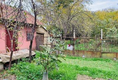 Casă cu 4 camere cu Teren 1500 Mp în Mihai Viteazu
