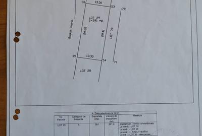Spațiu comercial, în Cârcea