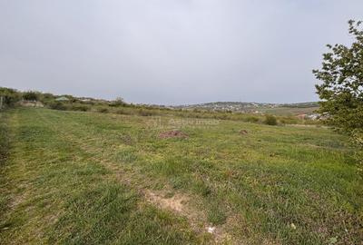 Teren de 793 mp, în Paleu