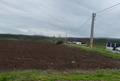 Teren de 4350 mp, în Vernești - 3
