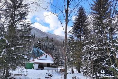 Casă cu 2 camere în Lepșa - 6