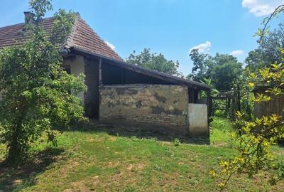 Casă individuală cu 5 camere cu Teren 5095 Mp în Călacea - 10
