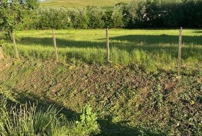Teren de 3000 mp, în Moldovenești - 2